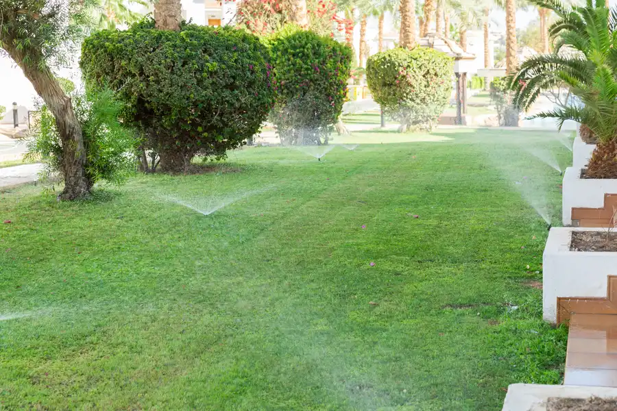 The Benefits Of Professional Lawn Sprinkler Repair Services Albany, OR