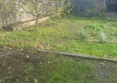 Dependable Landscaping Services