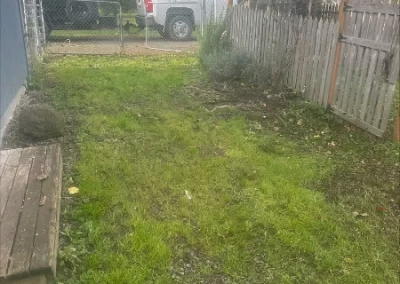 Reputable Landscape Company