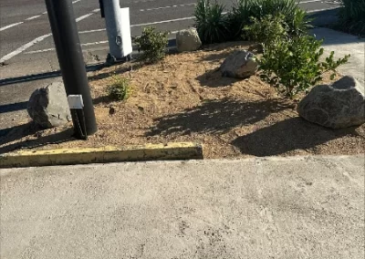 Trusted Landscape Contractor