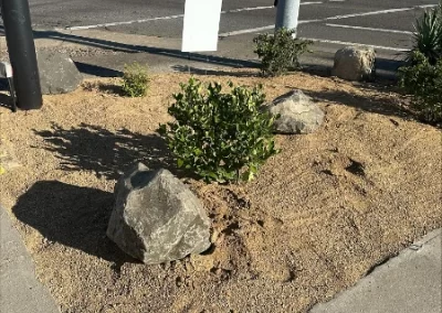 Trusted Landscaping Services